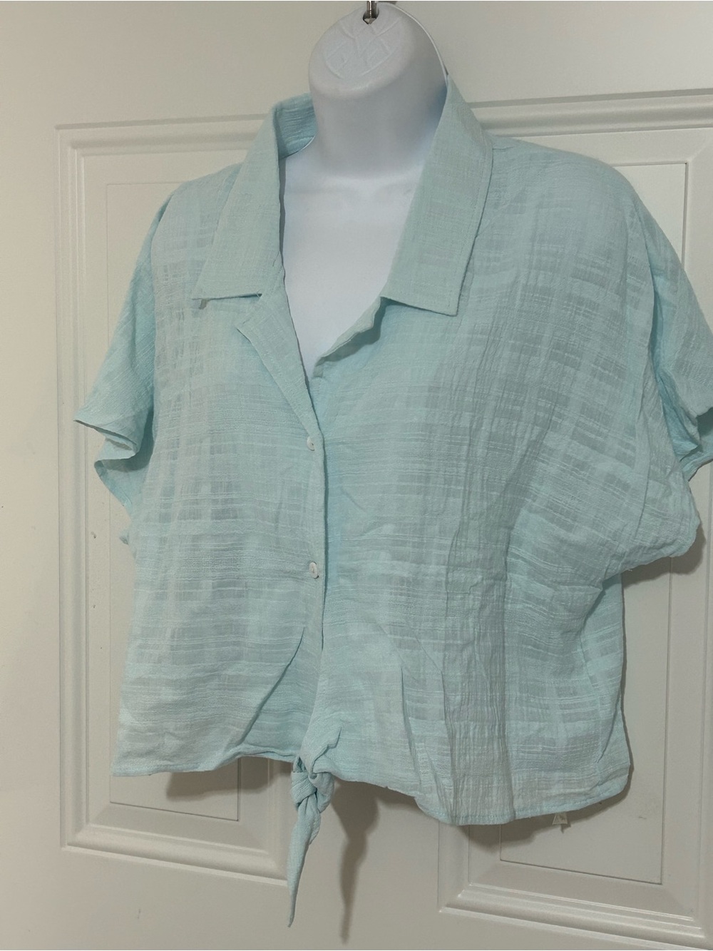 Sage Light Aqua Tie-Front Button Down Shirt